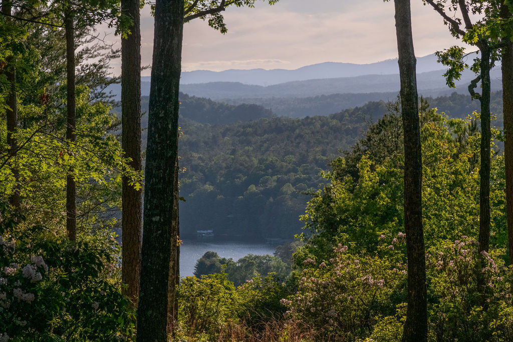 260 Eastatoe Parkway