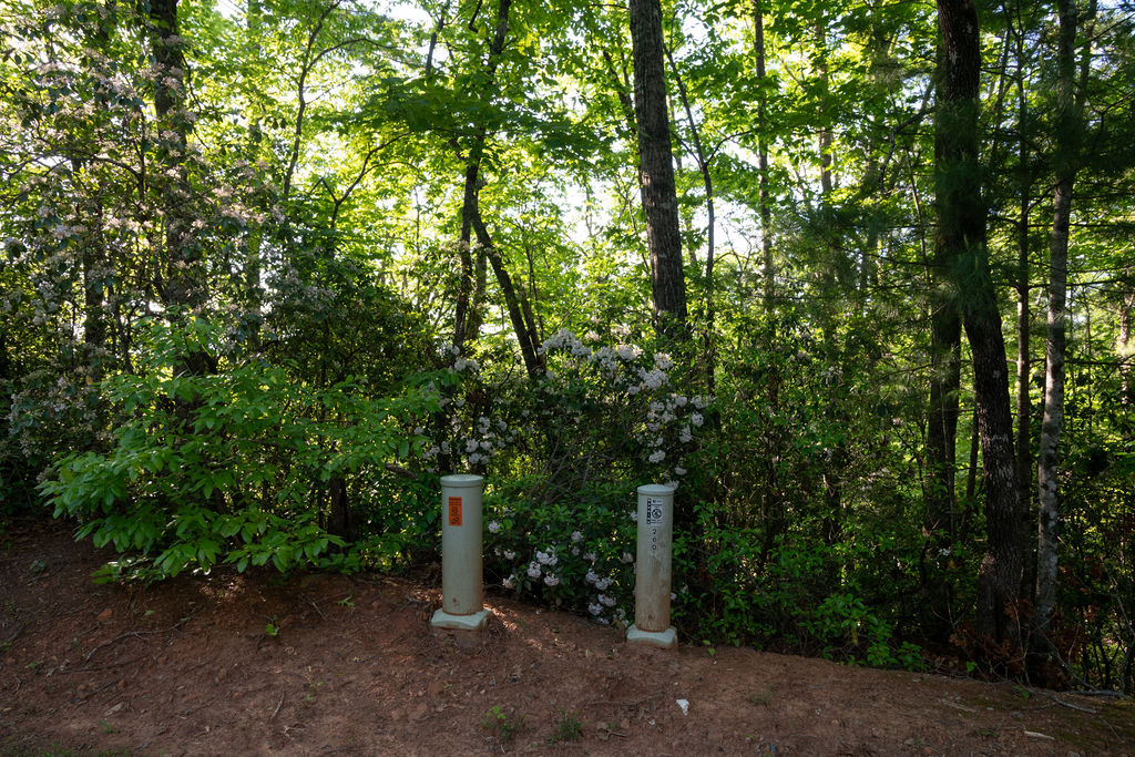 260 Eastatoe Parkway