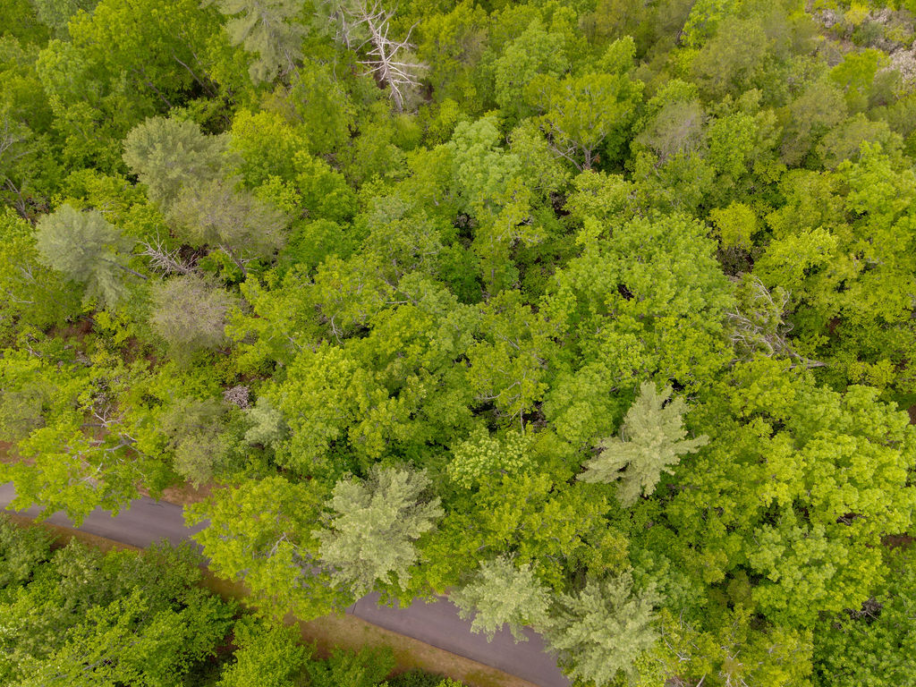 260 Eastatoe Parkway