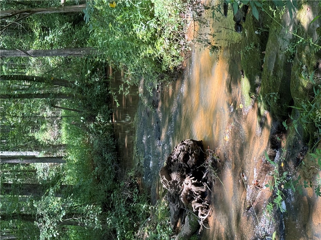 2110 Walhalla Highway