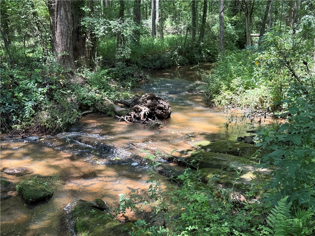 2110 Walhalla Highway