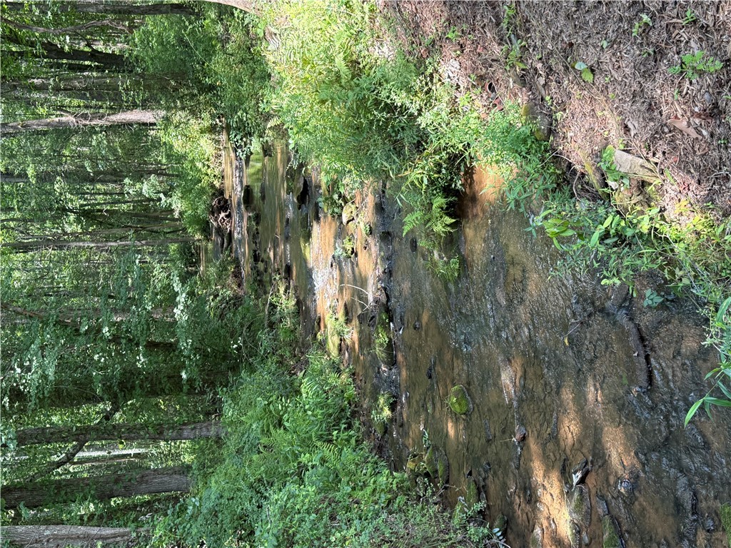 2110 Walhalla Highway