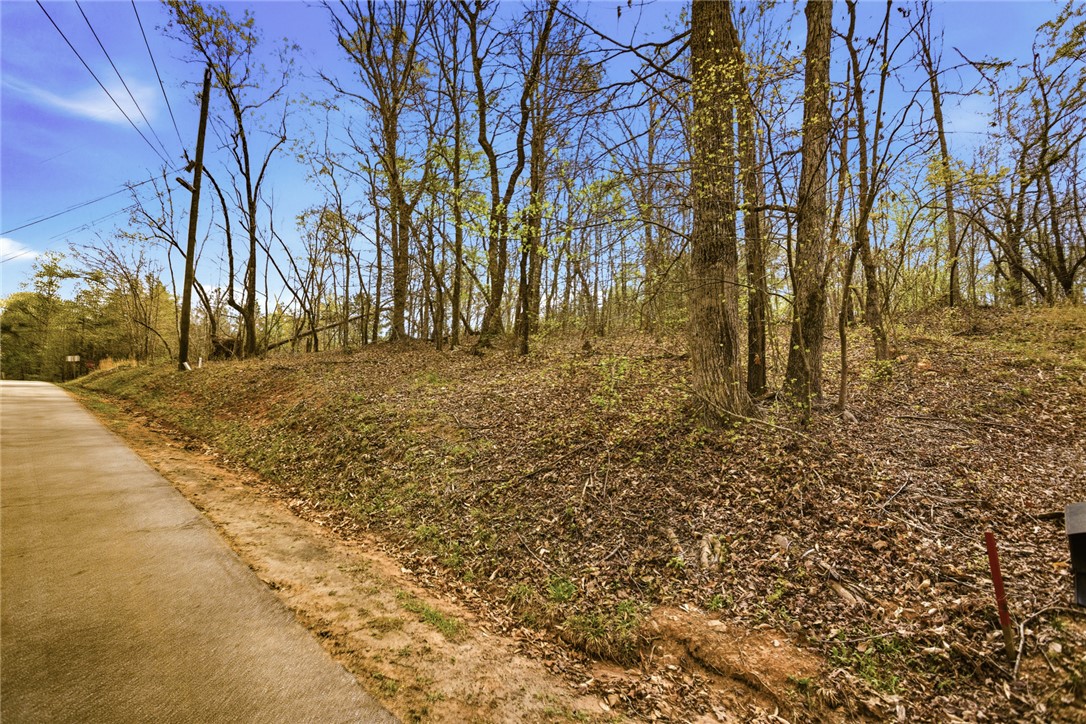 Lot 36 Brandywine Drive