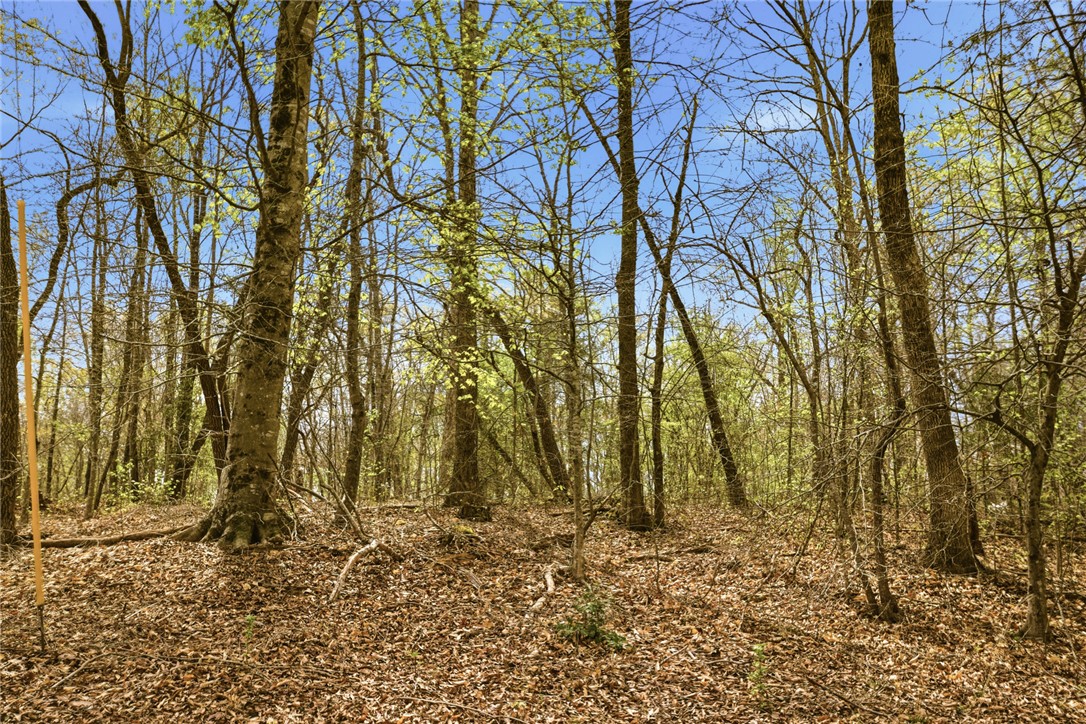 Lot 36 Brandywine Drive