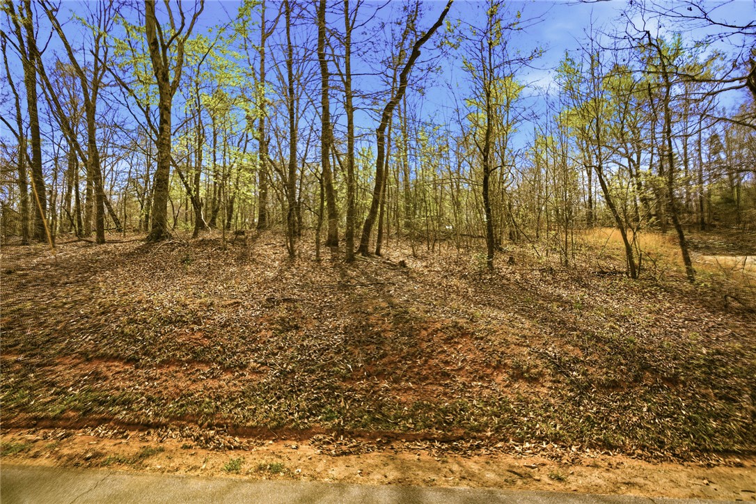 Lot 36 Brandywine Drive