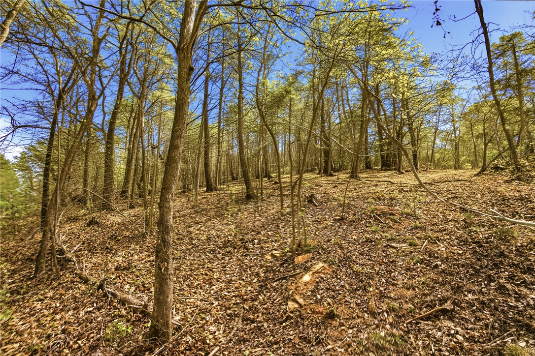 Lot 36 Brandywine Drive