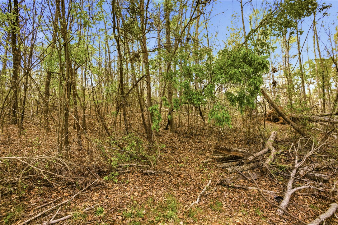 Lot 42 Brandywine Drive