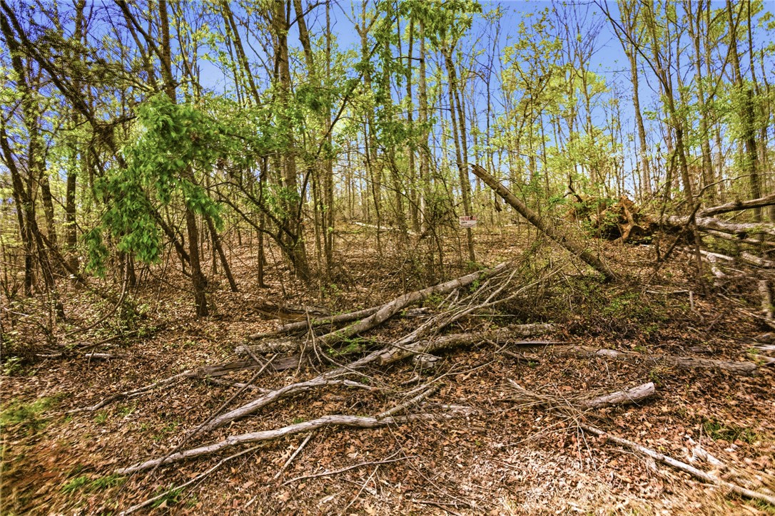 Lot 42 Brandywine Drive