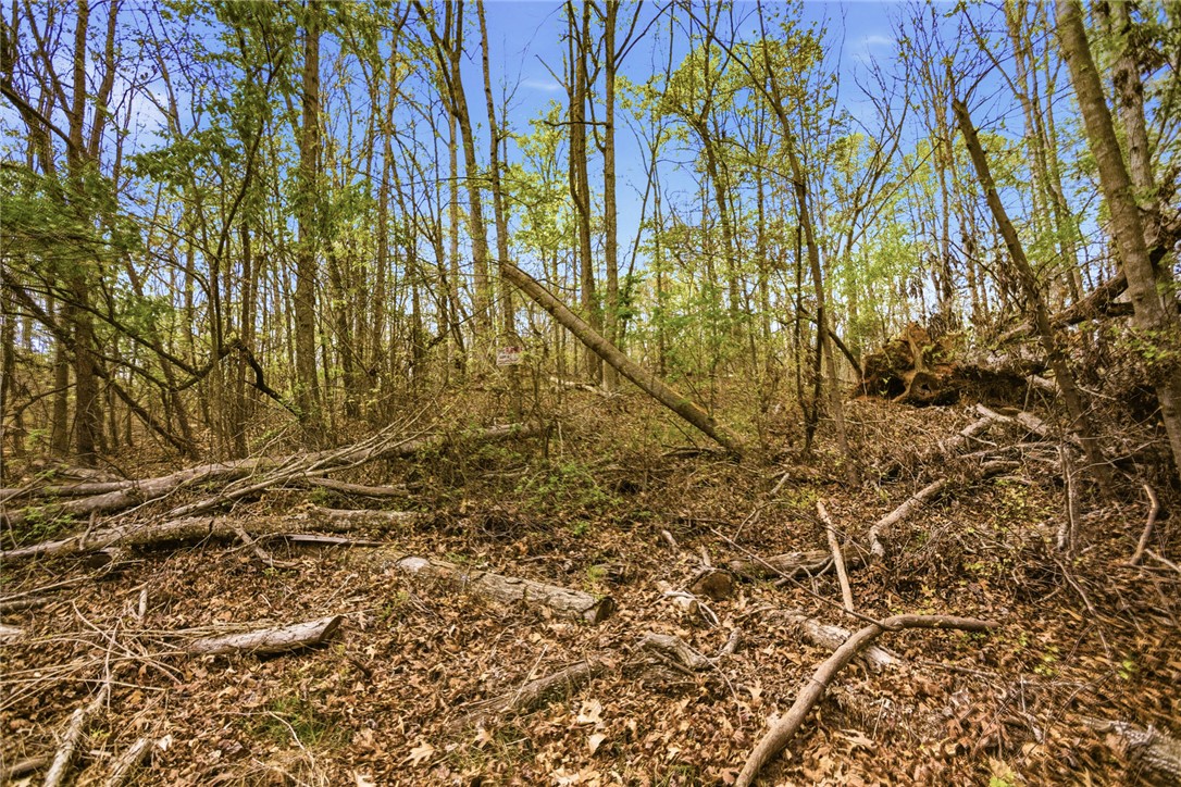 Lot 42 Brandywine Drive