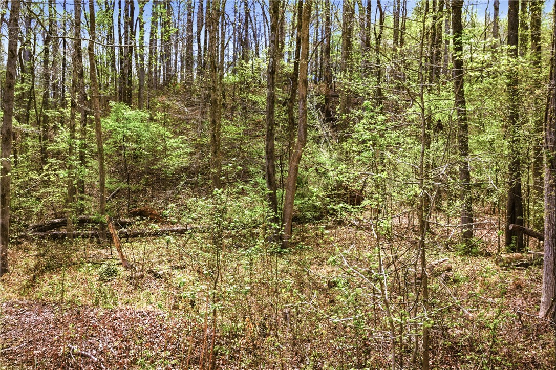 Lot 48 Brandywine Drive