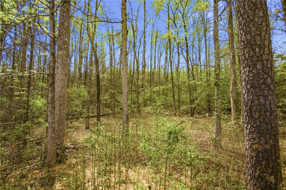 Lot 48 Brandywine Drive