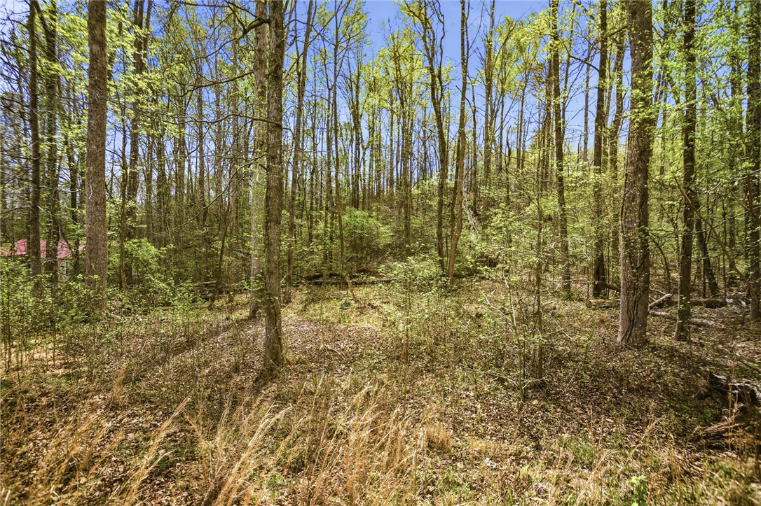 Lot 48 Brandywine Drive