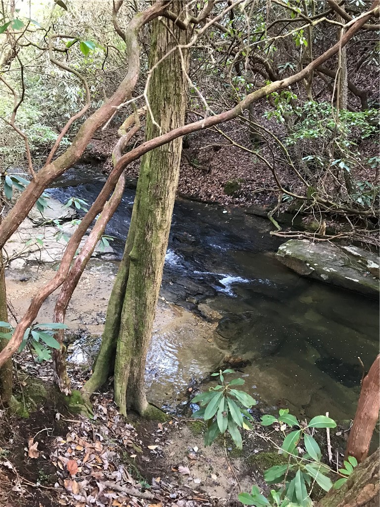 00 Marble Branch Trail