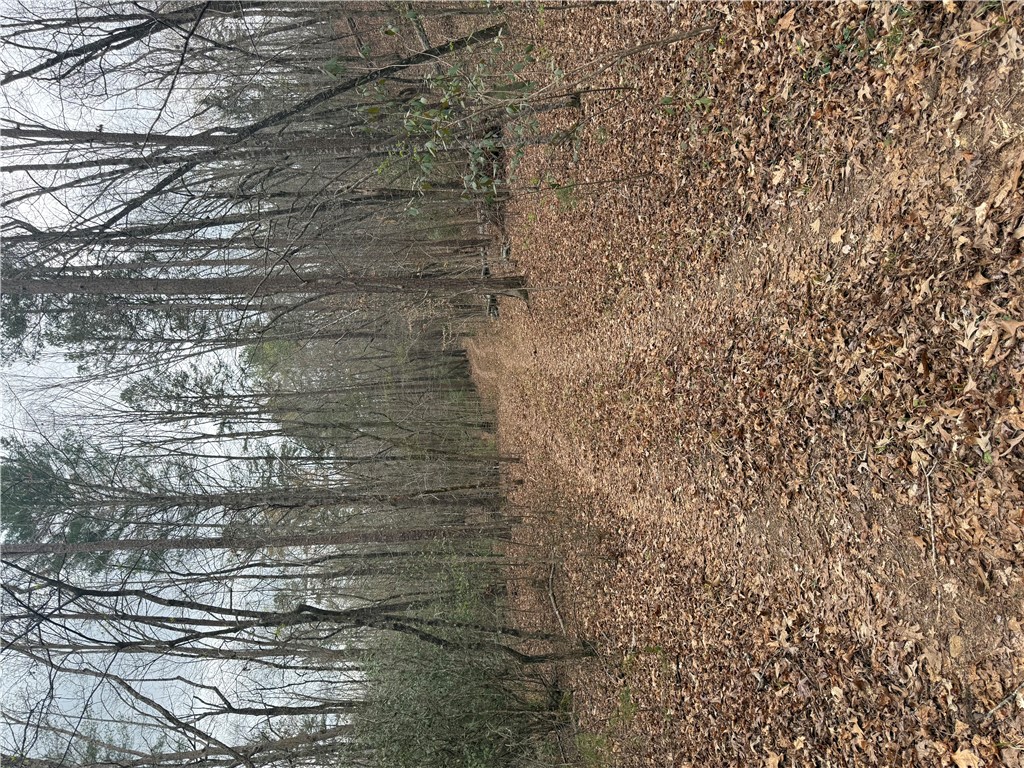 00 Marble Branch Trail
