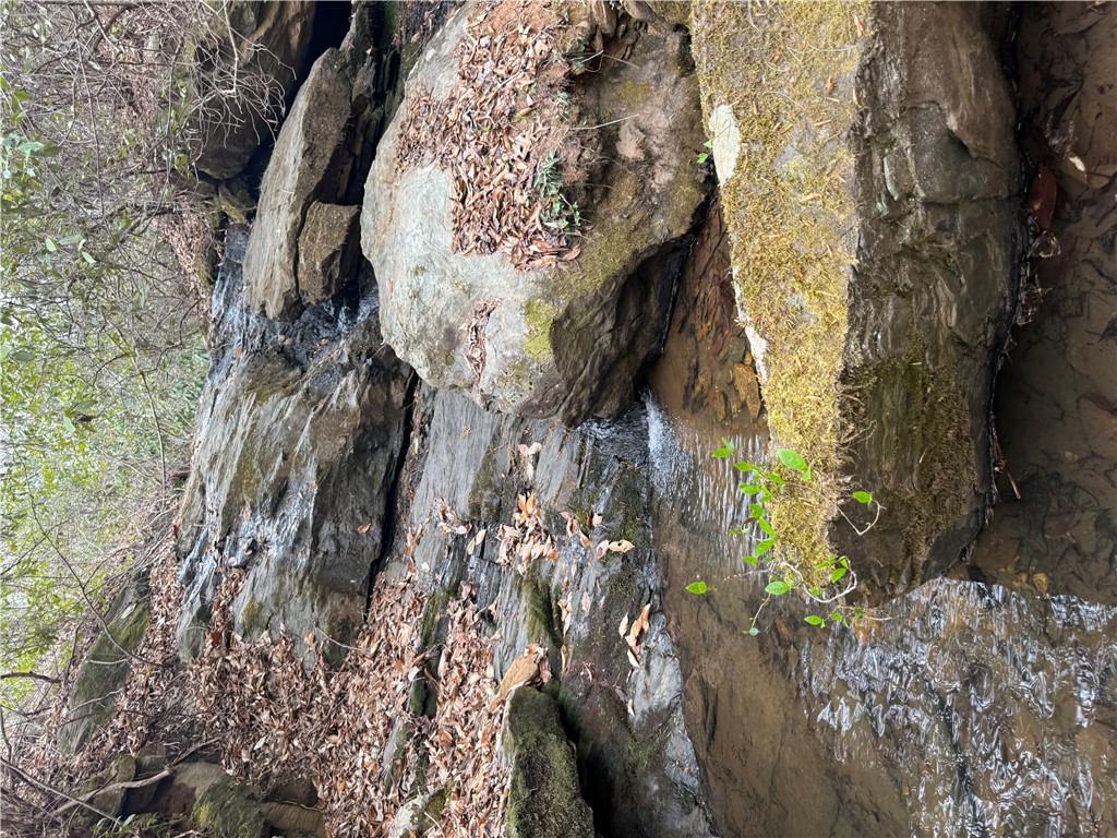 00 Marble Branch Trail