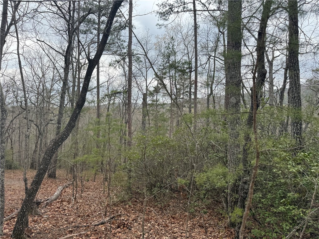 00 Marble Branch Trail