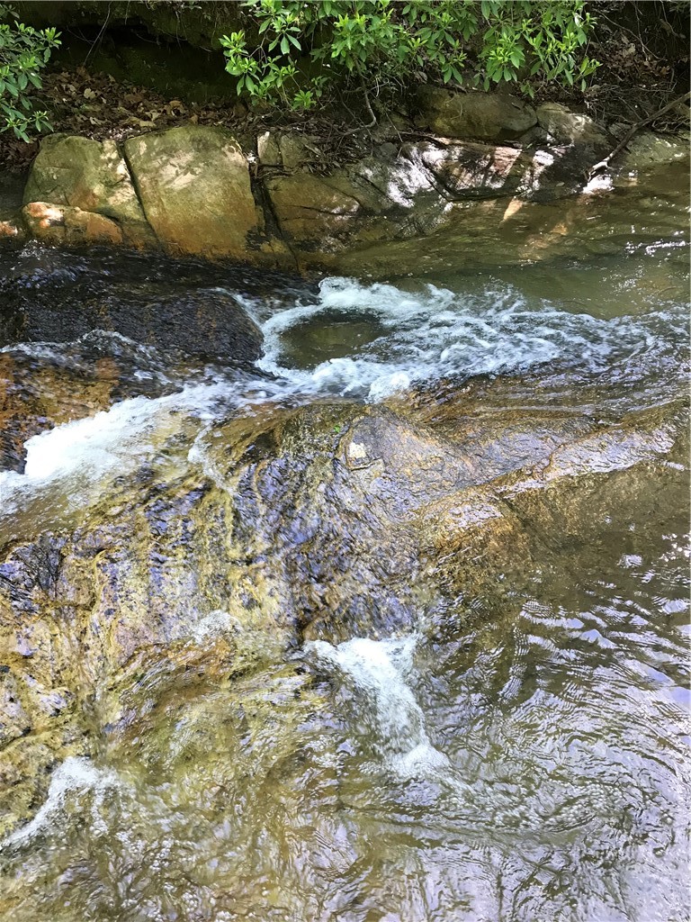 00 Marble Branch Trail