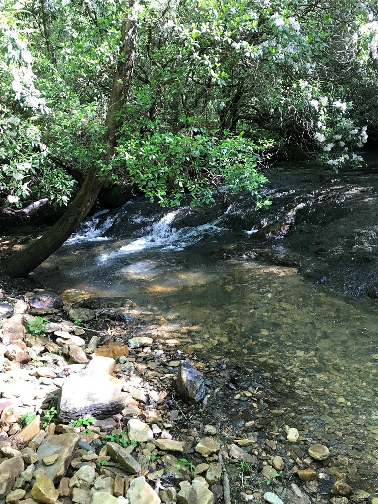 00 Marble Branch Trail