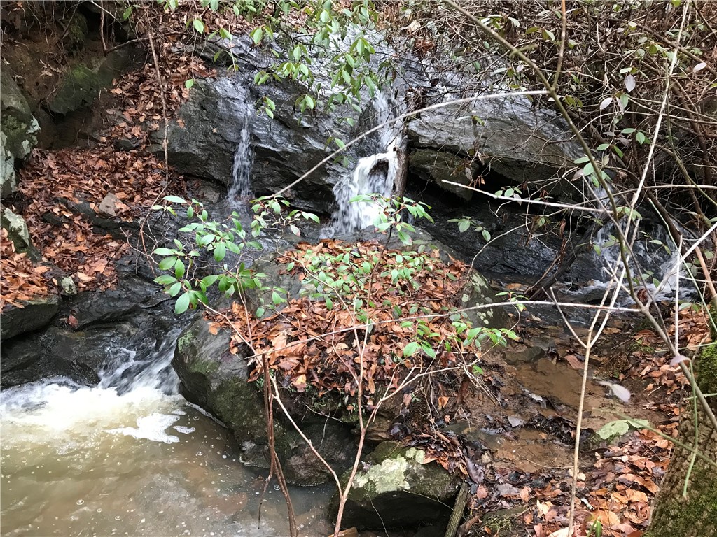 00 Marble Branch Trail