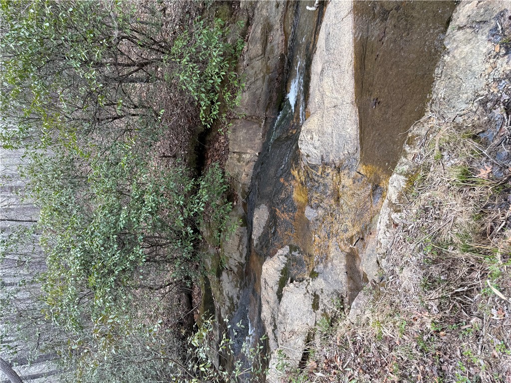 00 Marble Branch Trail