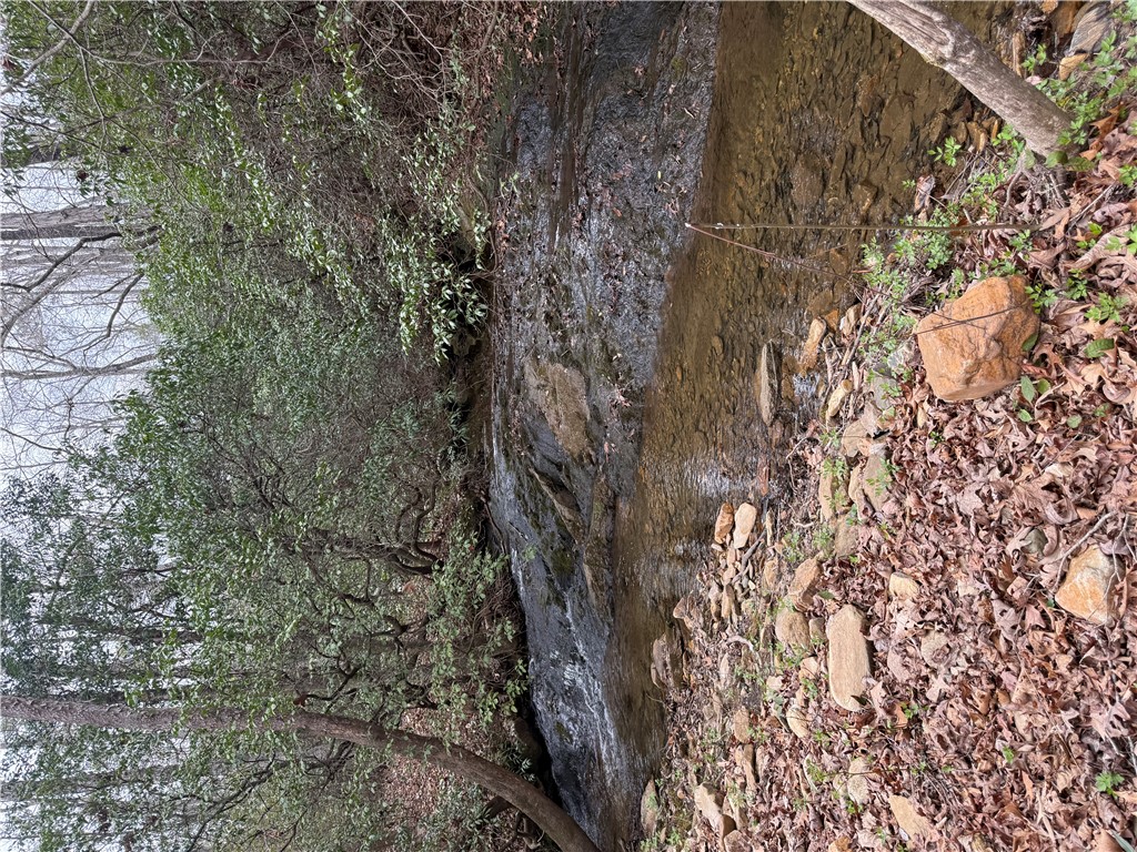 00 Marble Branch Trail
