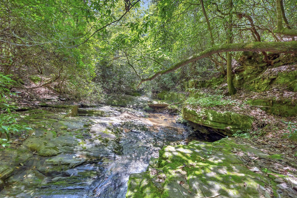 00 Marble Branch Trail