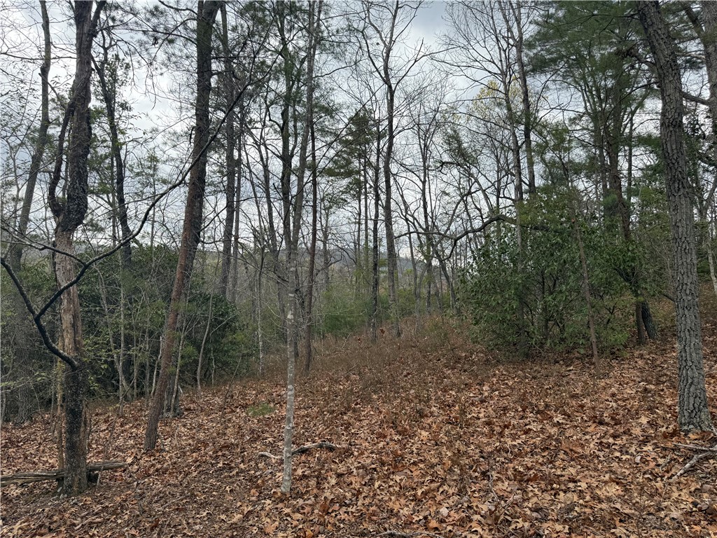00 Marble Branch Trail