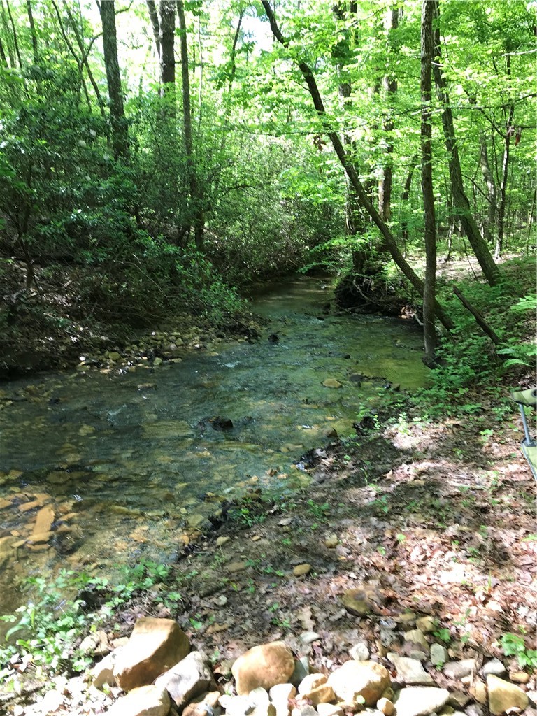 00 Marble Branch Trail