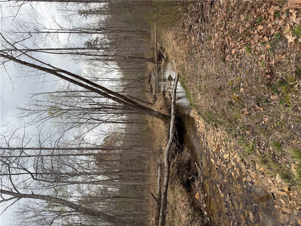 00 Marble Branch Trail