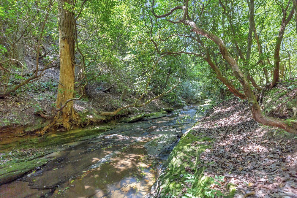 00 Marble Branch Trail
