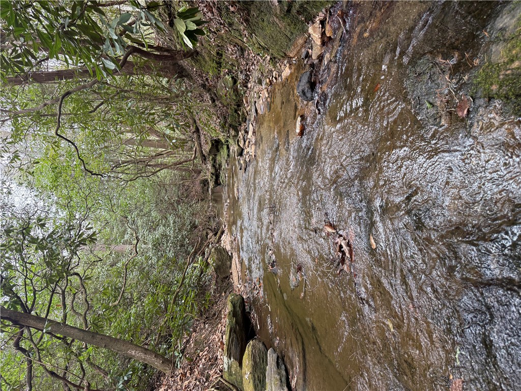 00 Marble Branch Trail