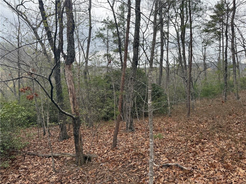 00 Marble Branch Trail