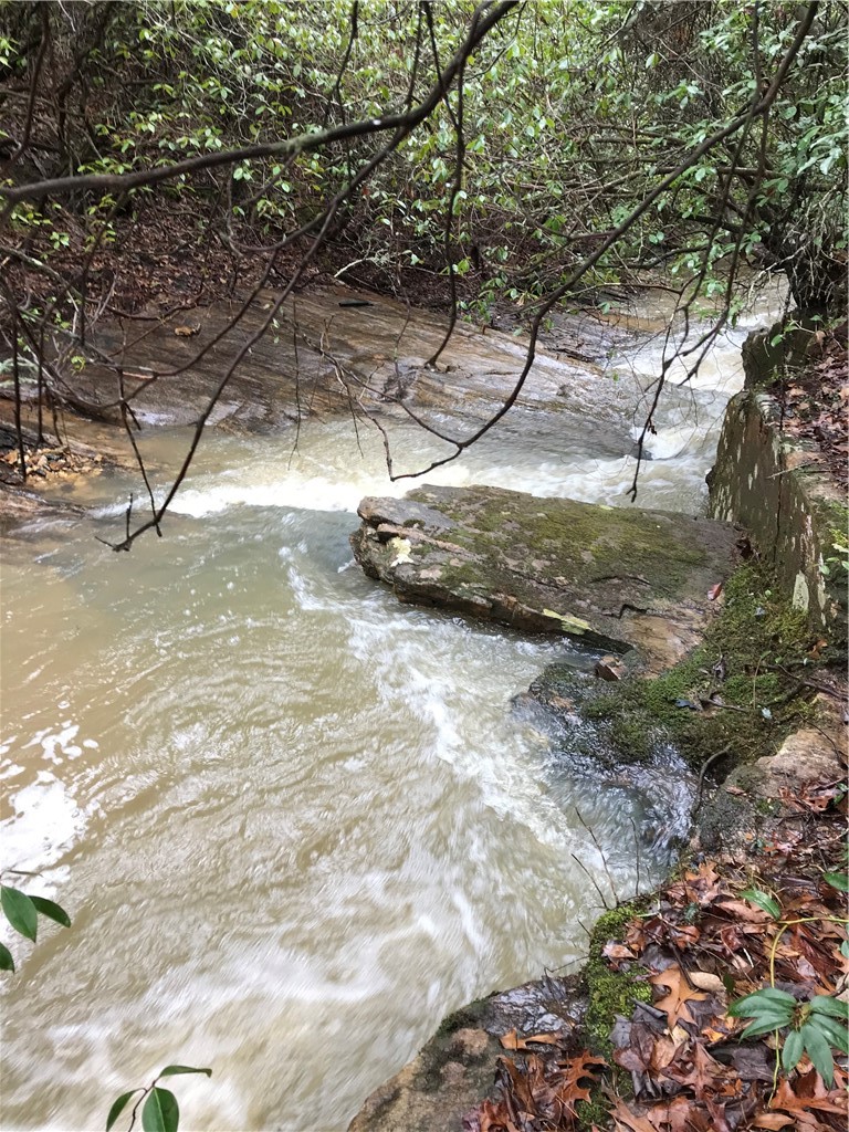 00 Marble Branch Trail