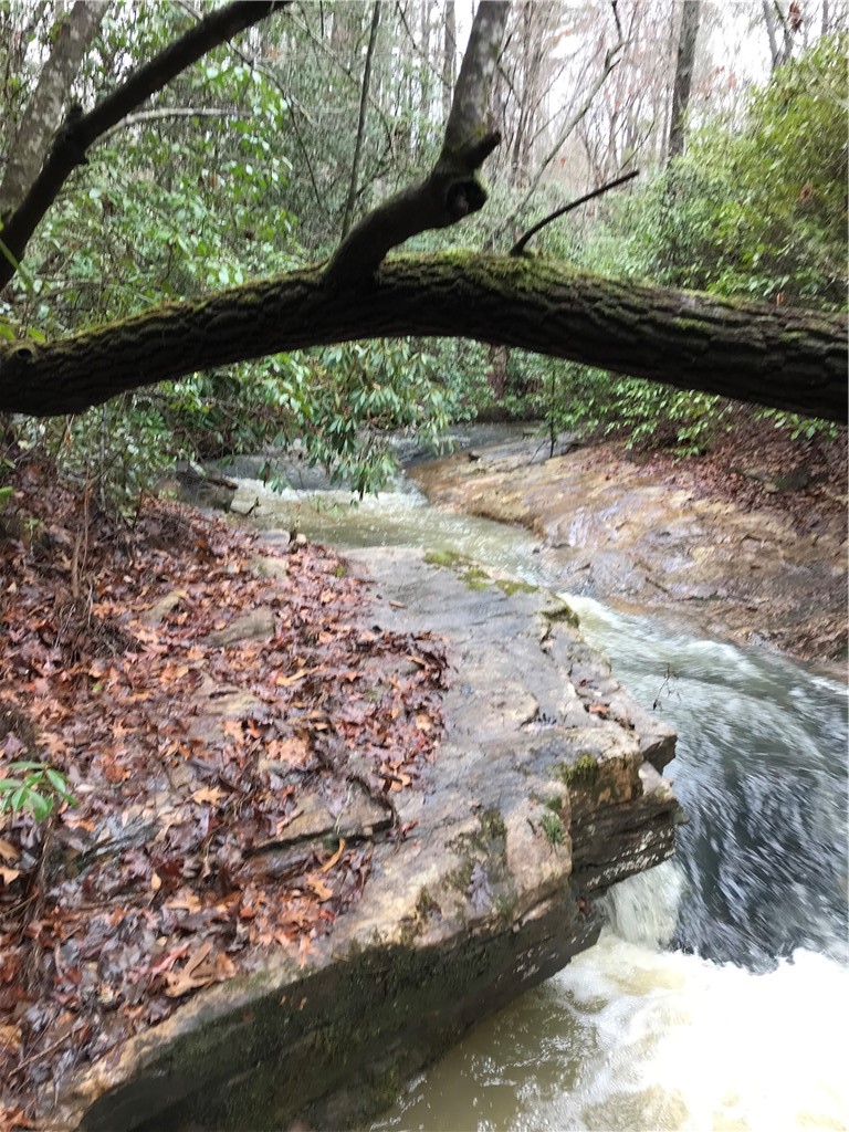 00 Marble Branch Trail