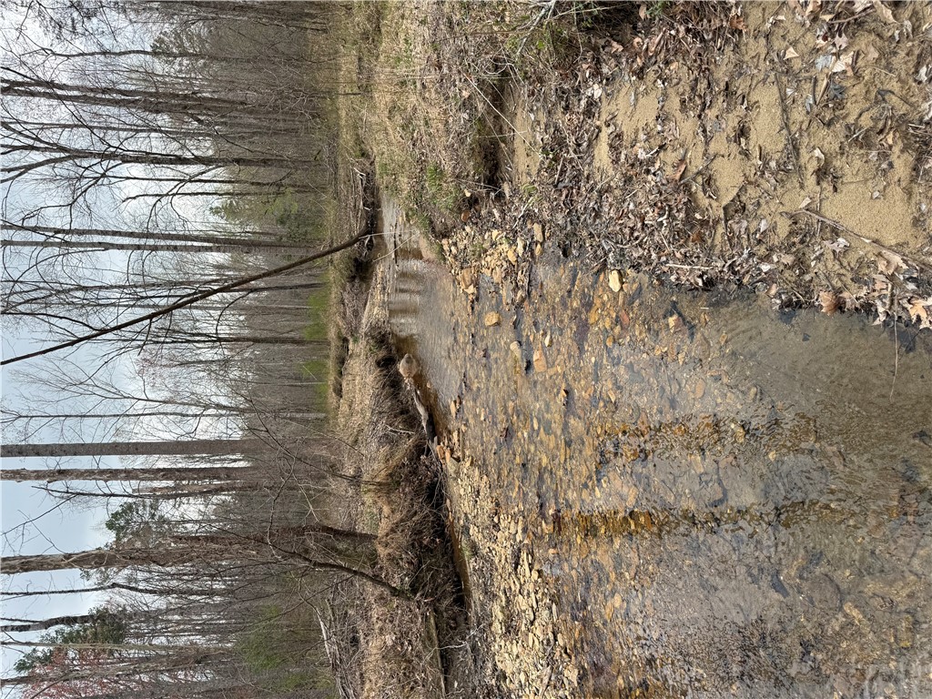 00 Marble Branch Trail