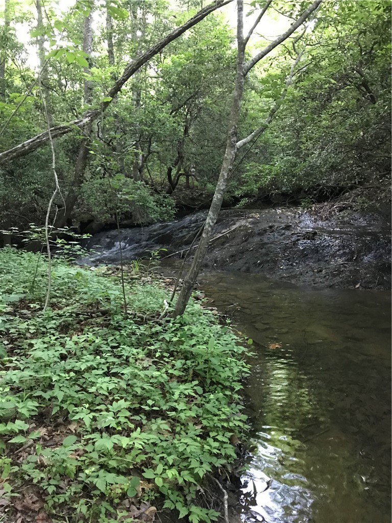 00 Marble Branch Trail