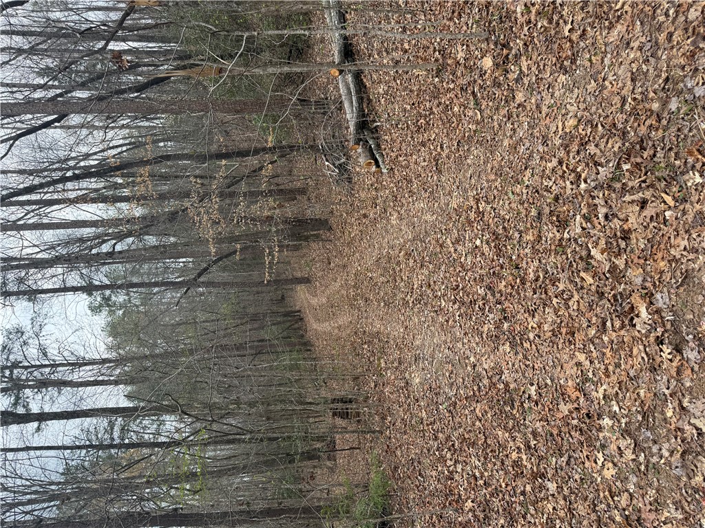 00 Marble Branch Trail
