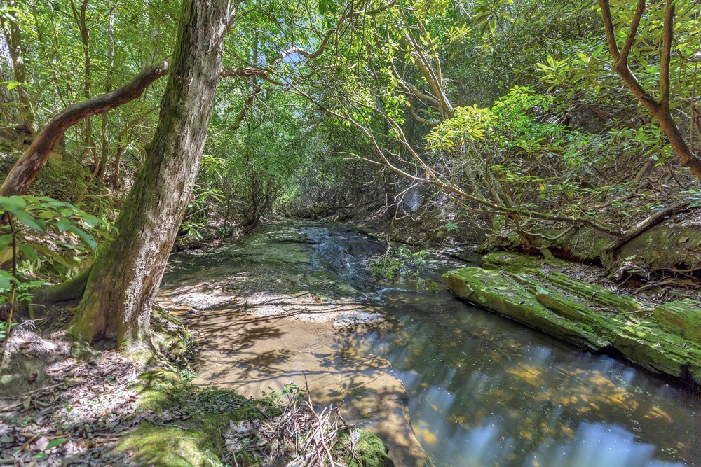 00 Marble Branch Trail