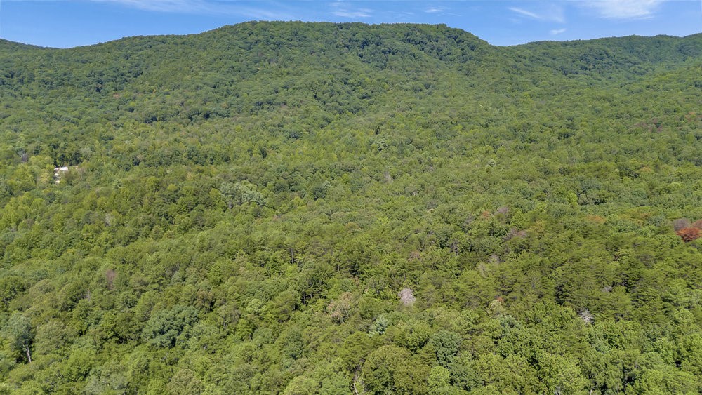 00 Marble Branch Trail