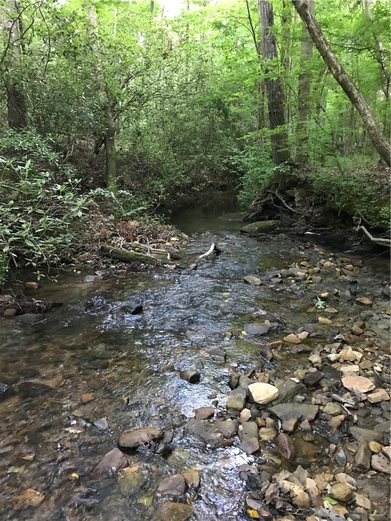 00 Marble Branch Trail