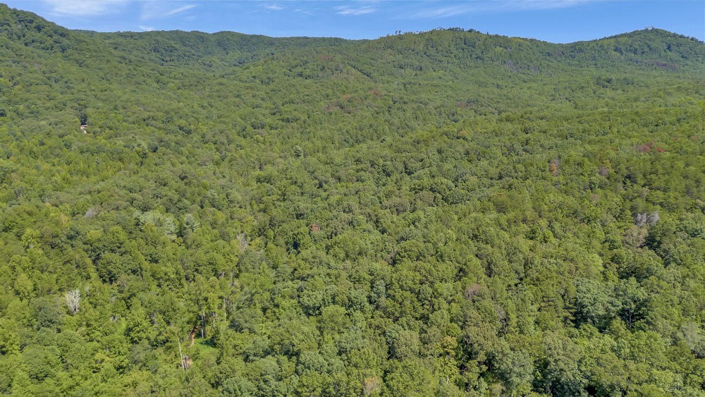00 Marble Branch Trail
