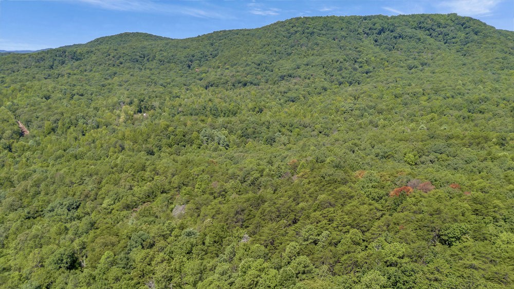 00 Marble Branch Trail