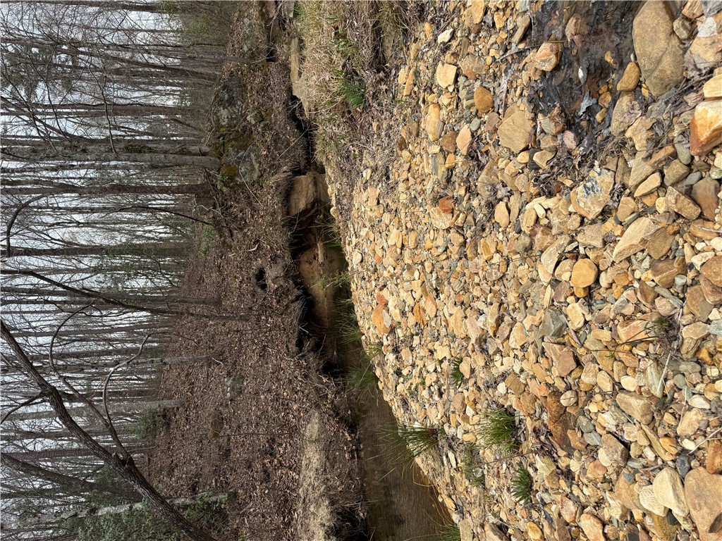 00 Marble Branch Trail
