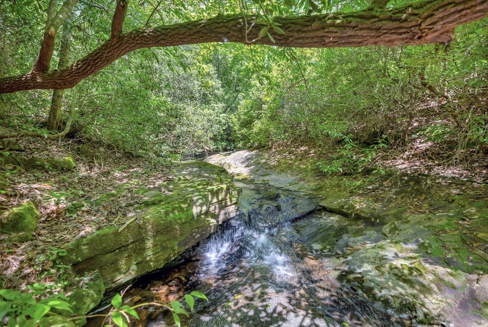 00 Marble Branch Trail