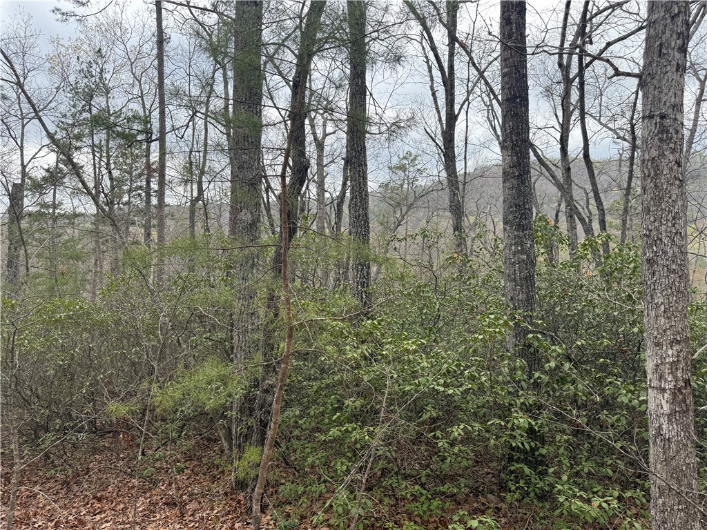 00 Marble Branch Trail