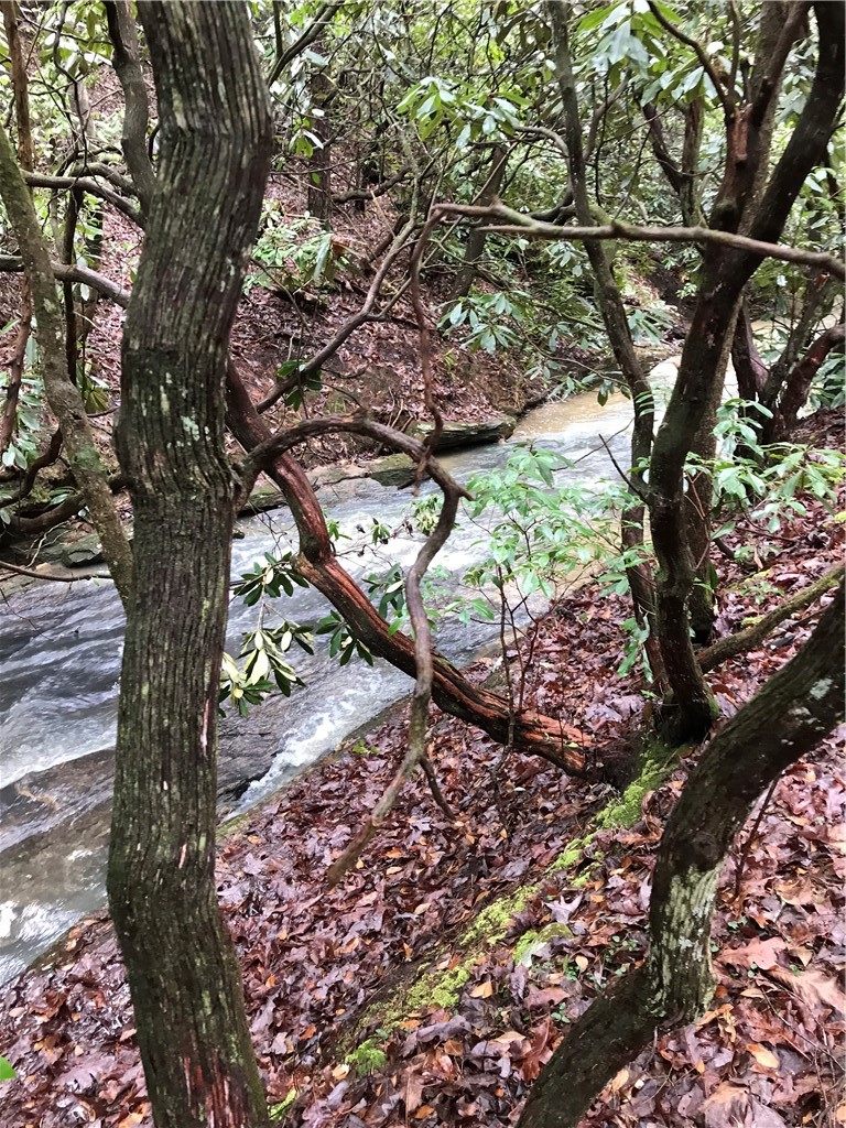 00 Marble Branch Trail