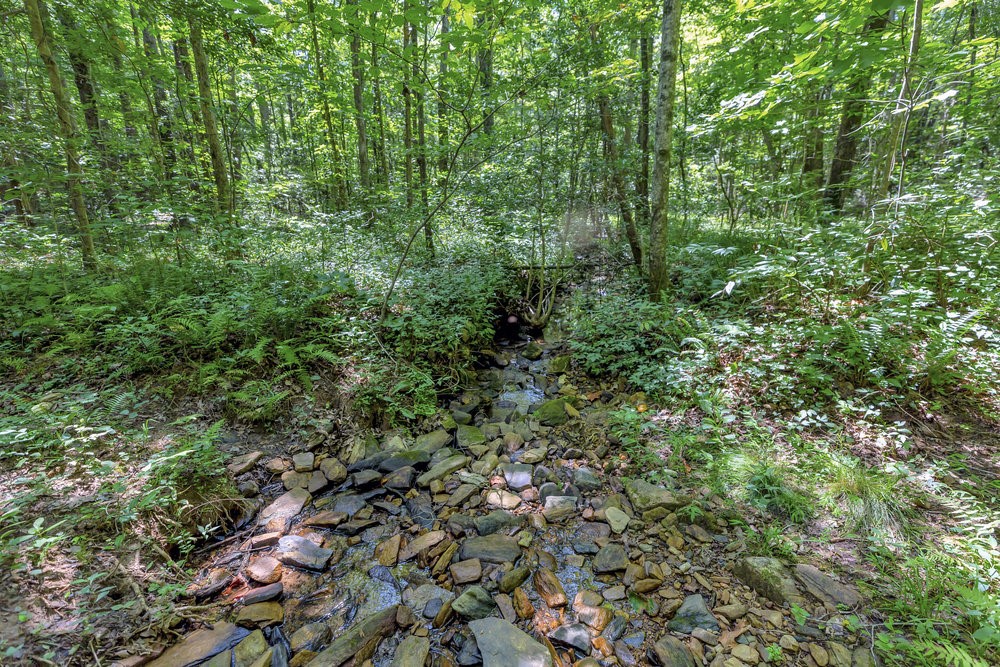 00 Marble Branch Trail