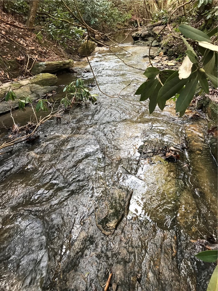 00 Marble Branch Trail