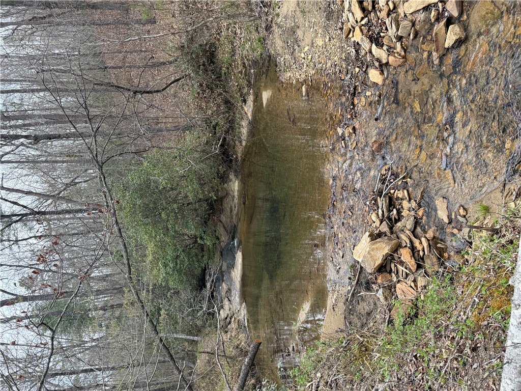 00 Marble Branch Trail