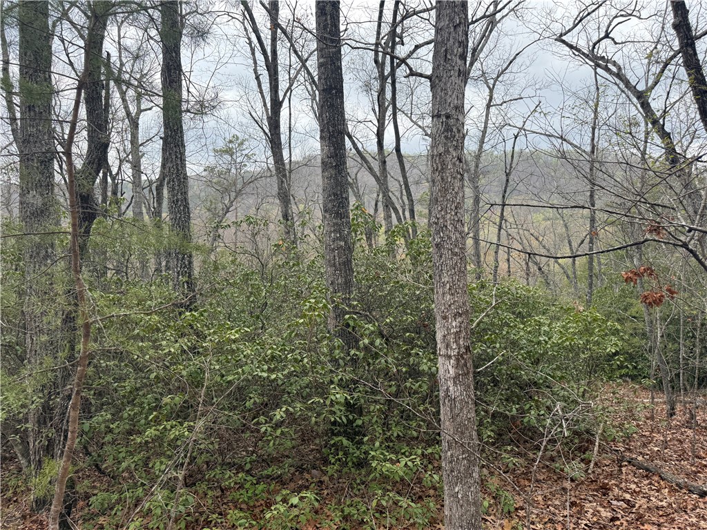 00 Marble Branch Trail